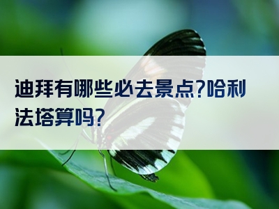 迪拜有哪些必去景点？哈利法塔算吗？