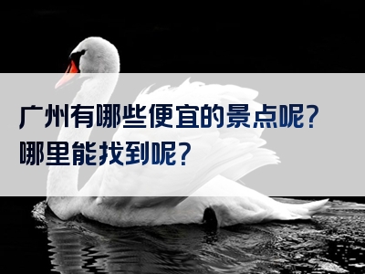 广州有哪些便宜的景点呢？哪里能找到呢？