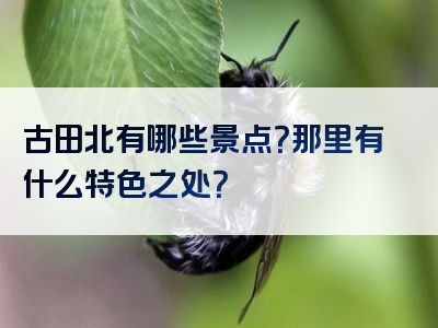 古田北有哪些景点？那里有什么特色之处？