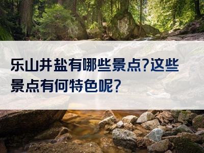 乐山井盐有哪些景点？这些景点有何特色呢？