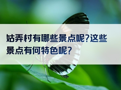 姑弄村有哪些景点呢？这些景点有何特色呢？