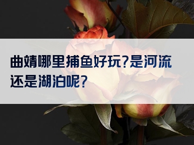 曲靖哪里捕鱼好玩？是河流还是湖泊呢？