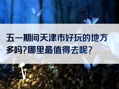 五一期间天津市好玩的地方多吗？哪里最值得去呢？