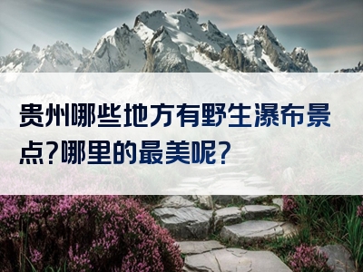 贵州哪些地方有野生瀑布景点？哪里的最美呢？