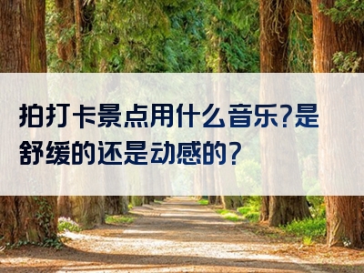 拍打卡景点用什么音乐？是舒缓的还是动感的？