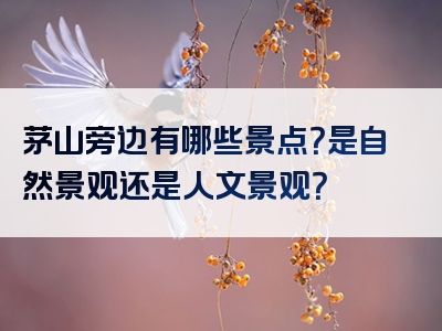 茅山旁边有哪些景点？是自然景观还是人文景观？