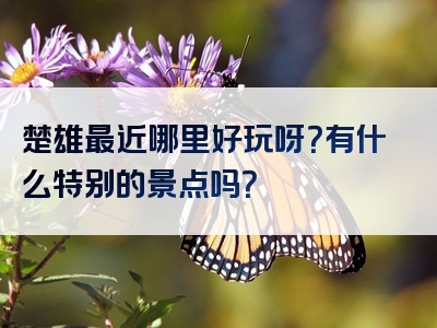 楚雄最近哪里好玩呀？有什么特别的景点吗？