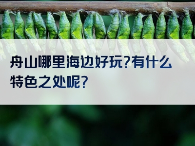 舟山哪里海边好玩？有什么特色之处呢？