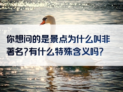 你想问的是景点为什么叫非著名？有什么特殊含义吗？