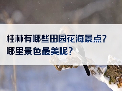 桂林有哪些田园花海景点？哪里景色最美呢？