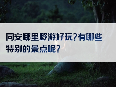 同安哪里野游好玩？有哪些特别的景点呢？