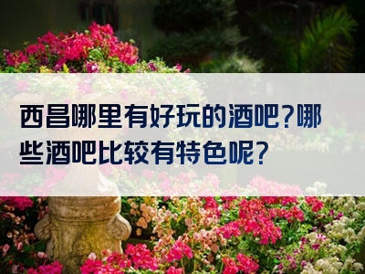 西昌哪里有好玩的酒吧？哪些酒吧比较有特色呢？