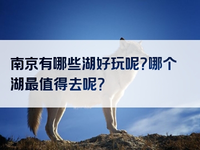 南京有哪些湖好玩呢？哪个湖最值得去呢？