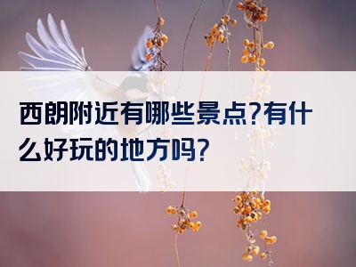 西朗附近有哪些景点？有什么好玩的地方吗？