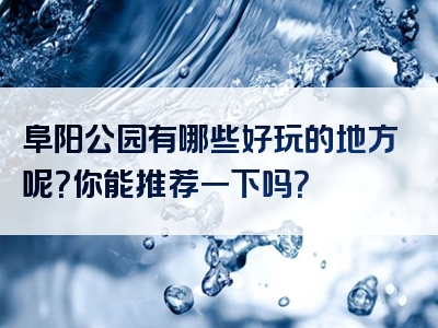 阜阳公园有哪些好玩的地方呢？你能推荐一下吗？