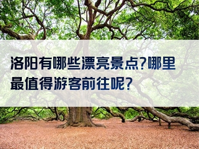 洛阳有哪些漂亮景点？哪里最值得游客前往呢？