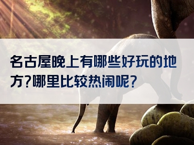 名古屋晚上有哪些好玩的地方？哪里比较热闹呢？