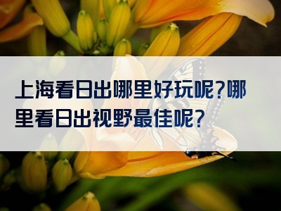 上海看日出哪里好玩呢？哪里看日出视野最佳呢？