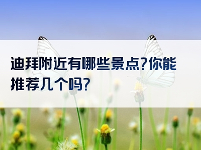 迪拜附近有哪些景点？你能推荐几个吗？