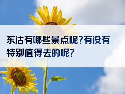 东沽有哪些景点呢？有没有特别值得去的呢？