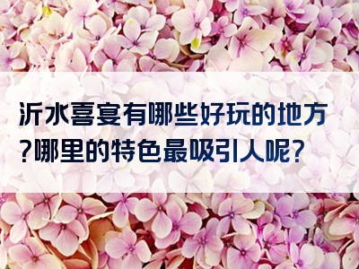 沂水喜宴有哪些好玩的地方？哪里的特色最吸引人呢？