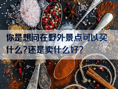 你是想问在野外景点可以买什么？还是卖什么好？