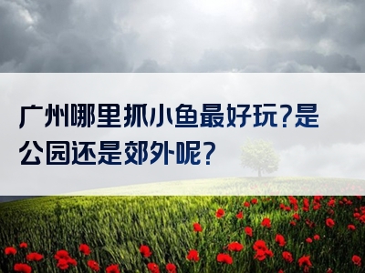 广州哪里抓小鱼最好玩？是公园还是郊外呢？