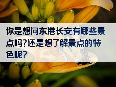 你是想问东港长安有哪些景点吗？还是想了解景点的特色呢？