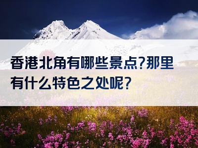 香港北角有哪些景点？那里有什么特色之处呢？