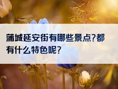 蒲城延安街有哪些景点？都有什么特色呢？