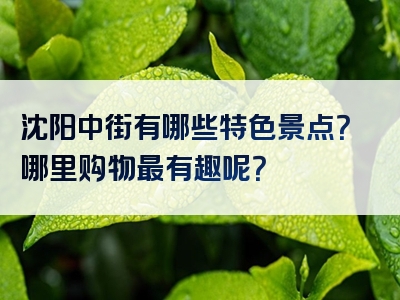 沈阳中街有哪些特色景点？哪里购物最有趣呢？