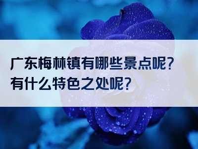 广东梅林镇有哪些景点呢？有什么特色之处呢？