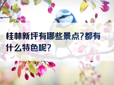 桂林新坪有哪些景点？都有什么特色呢？