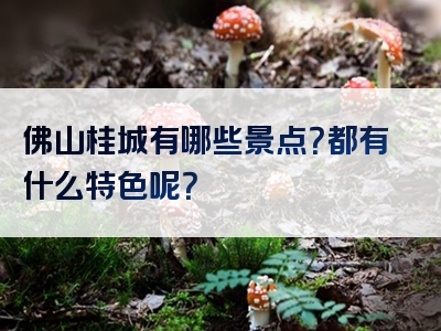 佛山桂城有哪些景点？都有什么特色呢？