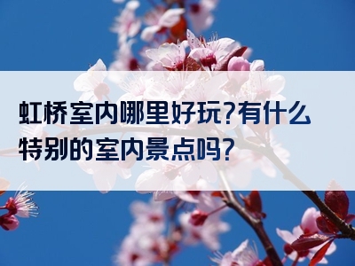 虹桥室内哪里好玩？有什么特别的室内景点吗？