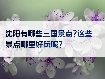 沈阳有哪些三国景点？这些景点哪里好玩呢？