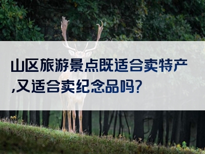 山区旅游景点既适合卖特产，又适合卖纪念品吗？