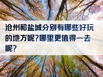 沧州和盐城分别有哪些好玩的地方呢？哪里更值得一去呢？