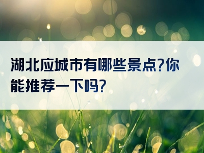 湖北应城市有哪些景点？你能推荐一下吗？
