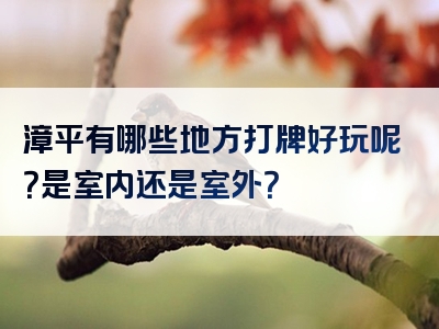 漳平有哪些地方打牌好玩呢？是室内还是室外？