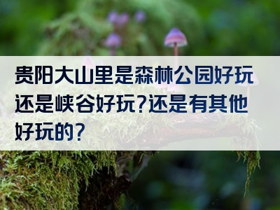 贵阳大山里是森林公园好玩还是峡谷好玩？还是有其他好玩的？