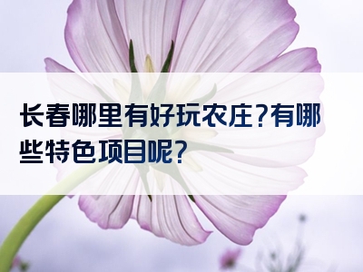 长春哪里有好玩农庄？有哪些特色项目呢？