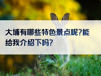 大埔有哪些特色景点呢？能给我介绍下吗？