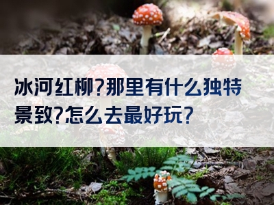 冰河红柳？那里有什么独特景致？怎么去最好玩？