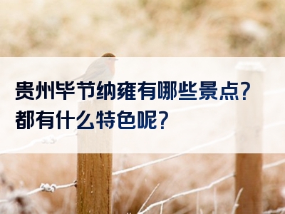 贵州毕节纳雍有哪些景点？都有什么特色呢？