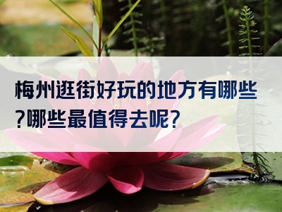 梅州逛街好玩的地方有哪些？哪些最值得去呢？