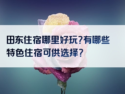 田东住宿哪里好玩？有哪些特色住宿可供选择？