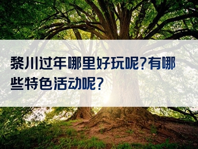 黎川过年哪里好玩呢？有哪些特色活动呢？