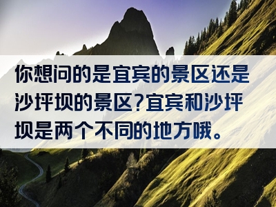 你想问的是宜宾的景区还是沙坪坝的景区？宜宾和沙坪坝是两个不同的地方哦。