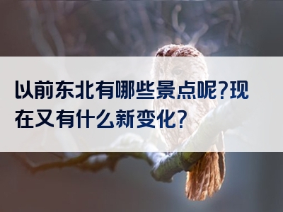 以前东北有哪些景点呢？现在又有什么新变化？